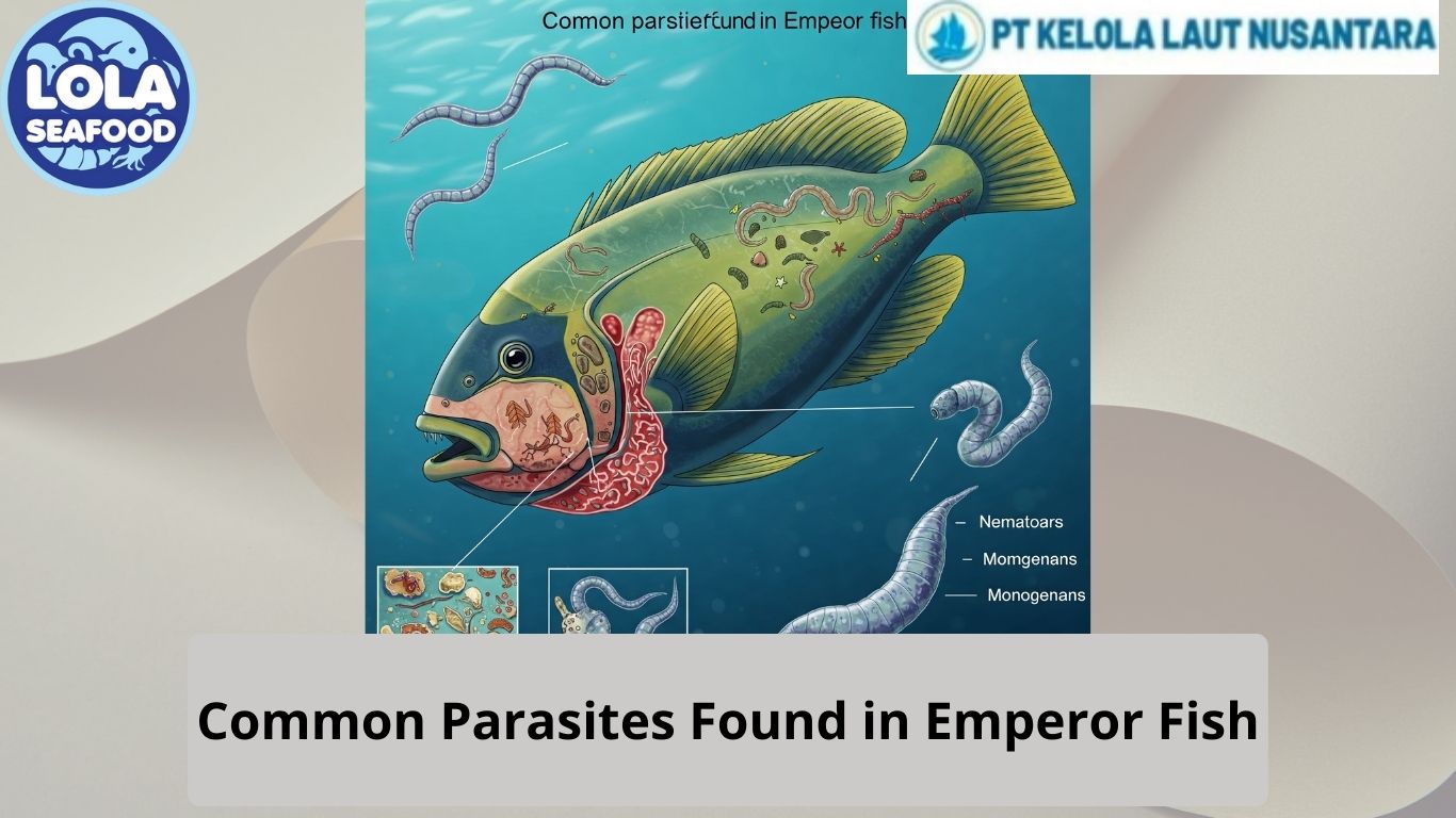 Common Parasites Found in Emperor Fish